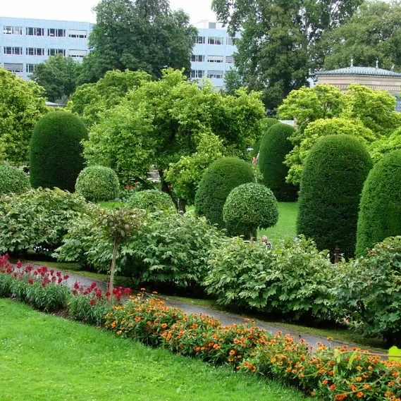Park in the city with shrubs and flowers